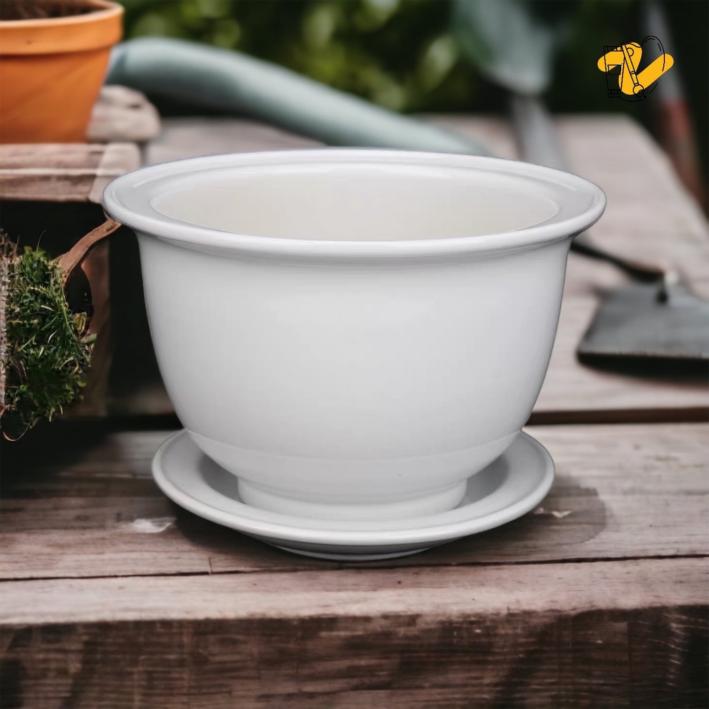 半球型植木鉢 排水板付