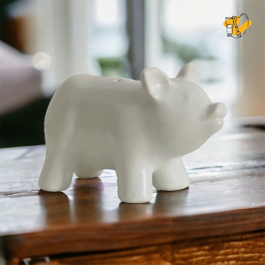 Piggy Salt & Pepper Shakers Set